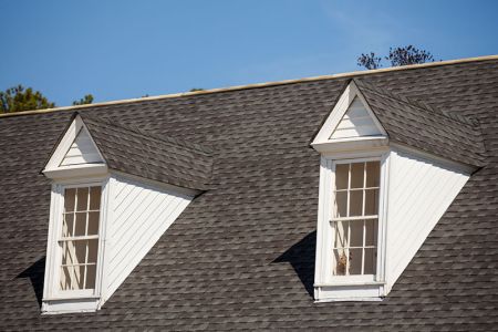 Roof washing